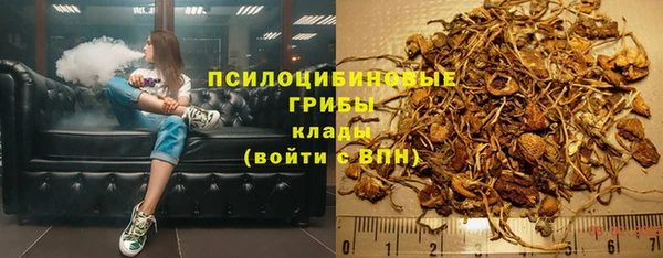 метадон Белокуриха