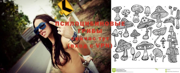 шишки Богданович