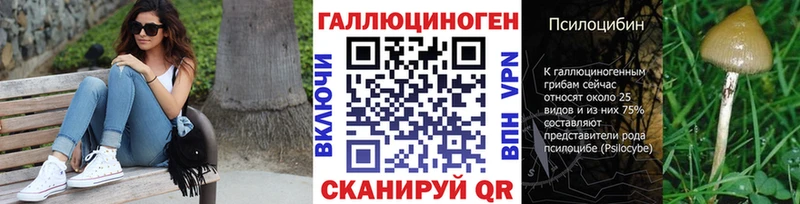 хочу наркоту  Архангельск  гидра сайт  Псилоцибиновые грибы прущие грибы 