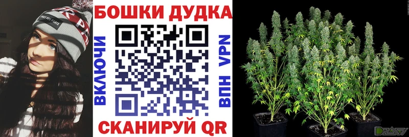 Марихуана марихуана  Архангельск 